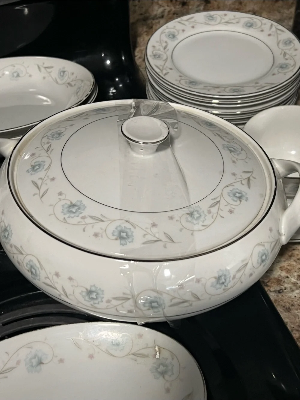 English Garden fine china huge set